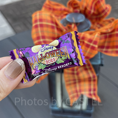 ハロウィーンフェア・イン・ニューヨークのトリック・オア・トリートプログラムでもらえるキャンディー（2023年に配布していたもの）