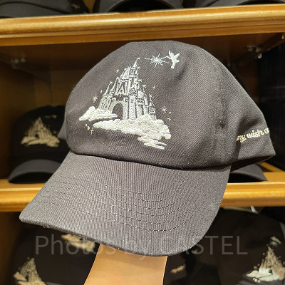 キャップ(Reach for the Starsグッズ)