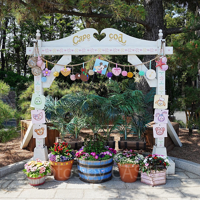 ケープコッドの40周年フォトスポット