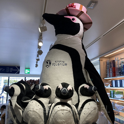 ケープペンギンぬいぐるみ