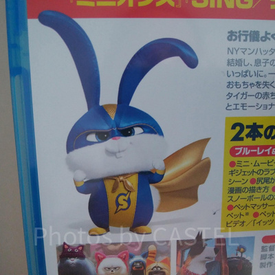 キャプテン・スノーボール