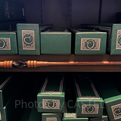 クマシデとドラゴンの心臓の琴線の杖