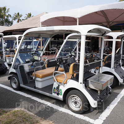 カートサファリ