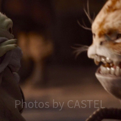 ねこ？に驚かされるベビーヨーダ（ザ・チャイルド）