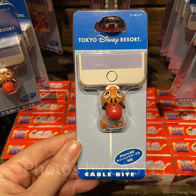 チャンドゥケーブルバイト