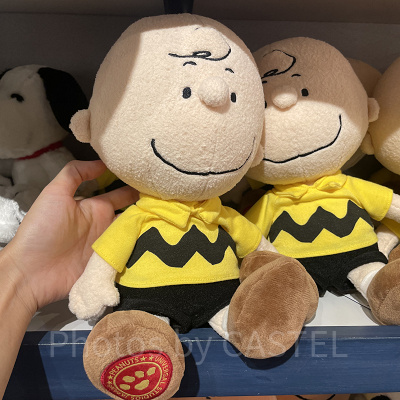 チャーリーブラウンのぬいぐるみ