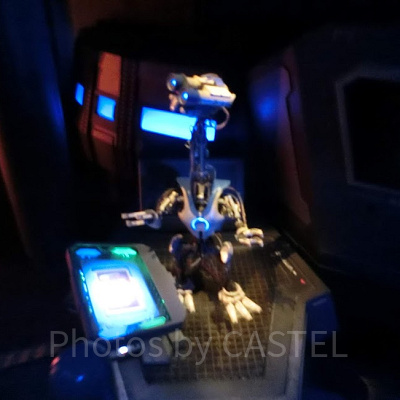 荷物の中身をチェックしています