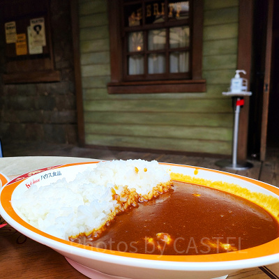 ディズニーランド食べ物：チキンカレー
