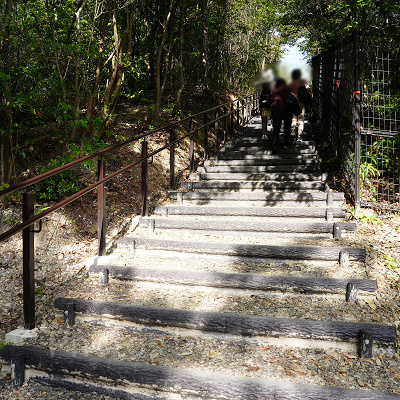どんどこ森エリアの山頂へと続く階段