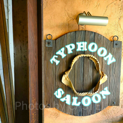 チャイナボイジャー：屋内席「タイフーン・サルーン」