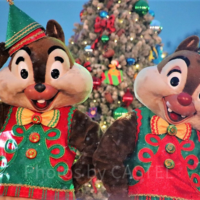 チップとデール