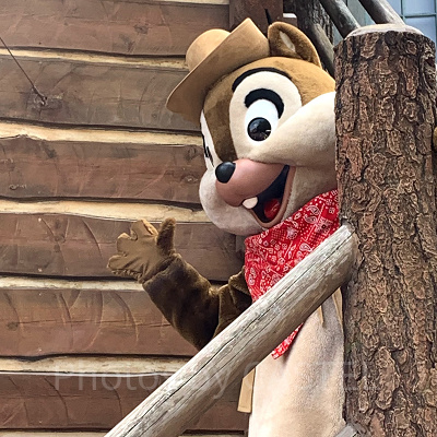 ウエスタンランドにフリーグリーティングで登場したチップ