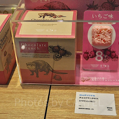 チョコクランチBOX　カワウソ