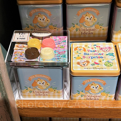 チョコレート（テイスティ・サマー・サプライズグッズ）