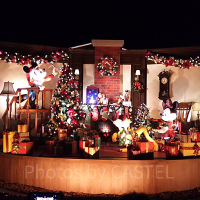 数年前のクリスマスデコレーション。寒い中撮りましたが、心が温かくなる美しさです。