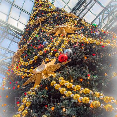 ワールドバザール内のクリスマスツリー