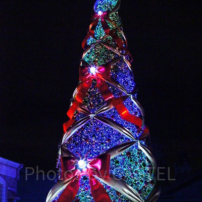 クリスマスツリ－