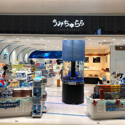 那覇空港の美ら海水族館アンテナショップ「うみちゅらら」