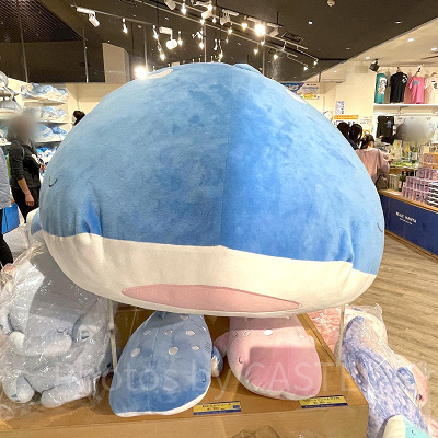 美ら海水族館のねむたんシリーズ（ジンベエザメ）