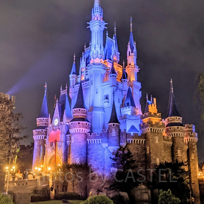 夜のシンデレラ城