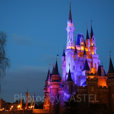 夜のシンデレラ城