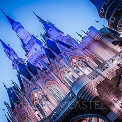 裏から見たシンデレラ城