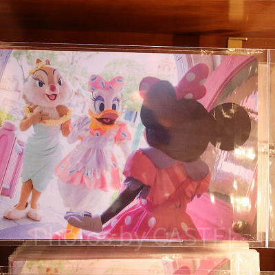 クリアファイル（表）