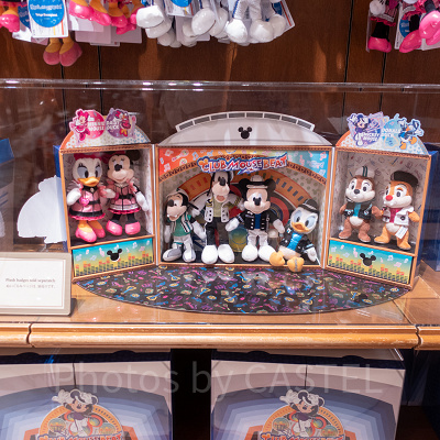 コレクションケース