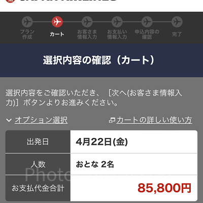 選択内容の確認（JAL）