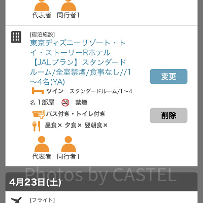 選択内容の確認（JAL）