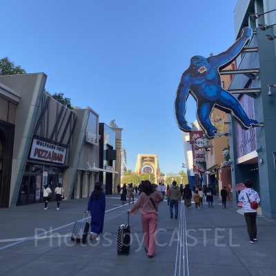 ユニバの費用:チケット代