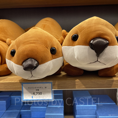 カワウソぬいぐるみ（アクアパーク品川グッズ）