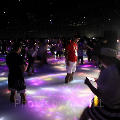 多くの方で賑わっています