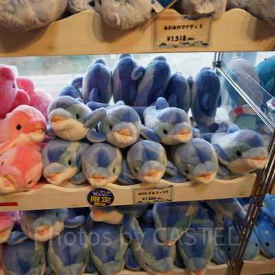 CUTEドルフィン