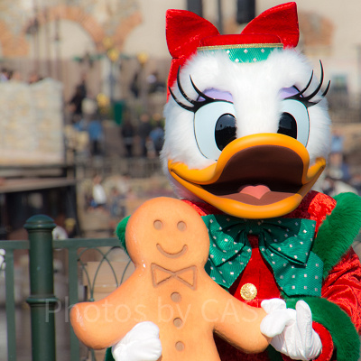 デイジーダック