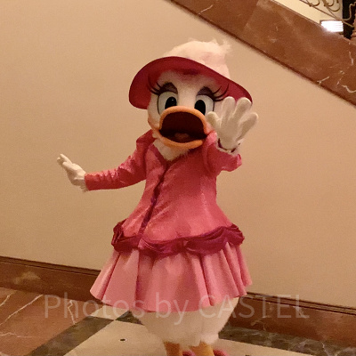 シアターに登場したデイジー