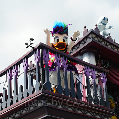 フロート後方にはデイジーが乗っています！