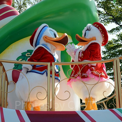 デイジークイズまとめ