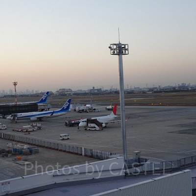 飛行機で日帰りディズニー