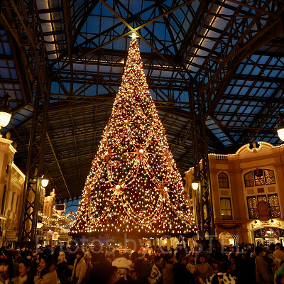 12月ディズニーランド混雑レポ：クリスマスツリー