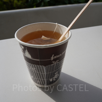 12月ディズニーランド混雑レポ：ホットピーチティー