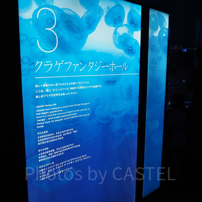 クラゲファンタジーホールの解説