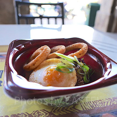 ディスカバリー・レストラン：ロコモコ丼