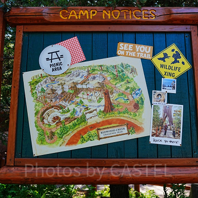 ディズニーカルフォルニアアドベンチャーのアトラクション：レッド・ウッド・クリーク・チャレンジ・トレイル