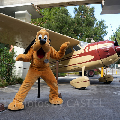 ディズニーカリフォルニアアドベンチャー：チケット