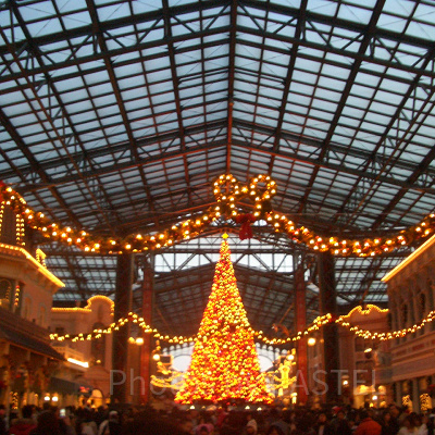 ディズニー・クリスマス2020