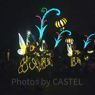 ディズニー・フェアリーズ（ダンサー）