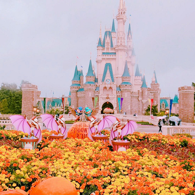 ディズニー仮装の衣装