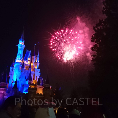 ディズニーの花火