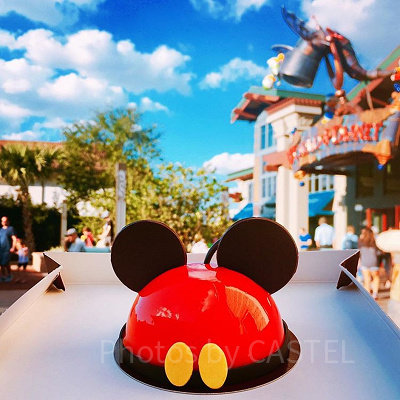家族で楽しむディズニー